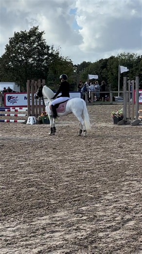 One Last Go with Casp: Managing Ulcers in Young Ponies