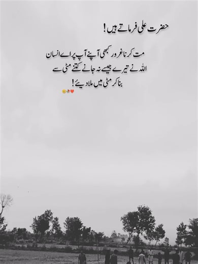 Daily Motivational Quotes from Hazrat Ali