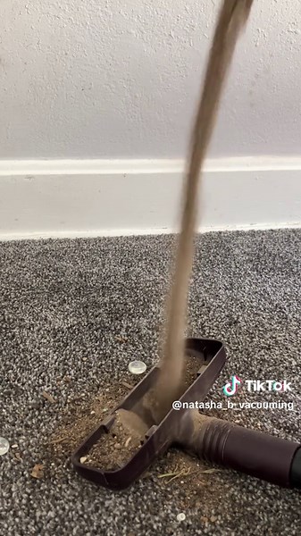Oddly Satisfying Vacuum Moments with Dog Dirt Mix