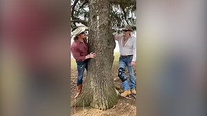 US farmers paint their cow to stage Tiger King photos