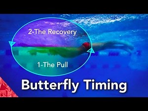 Butterfly Swimming Technique. Timing. How to swim butterfly