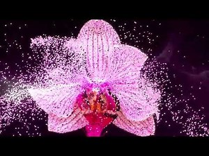 Mouse tracking interactive with particle | Touchdesigner