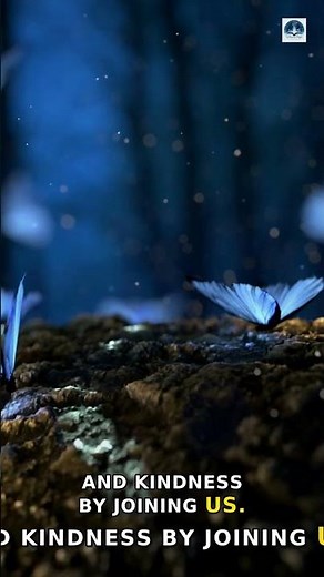 Unlock the Power of Essential Oils for Anxiety Relief