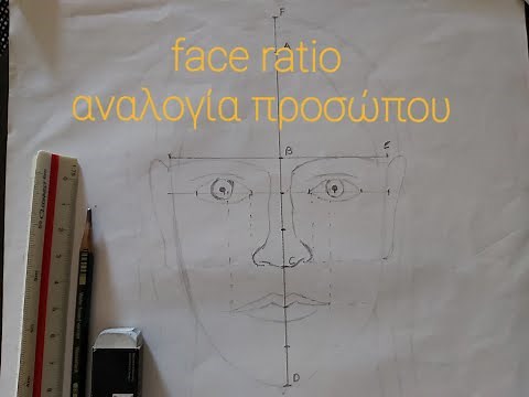 Ζωγραφική Aναλογίες προσώπου