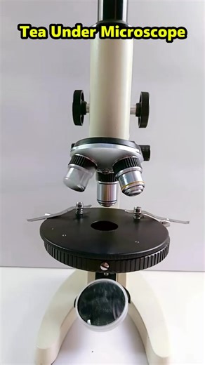 34K views · 446 reactions | ##tea #microscopechallenge #scienceexperiments #microscope #bacteria | Tiny.world.lens | Facebook