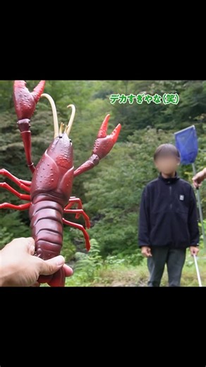 森こんにゃく on Instagram: "山奥の源流にとんでもない巨大ザリガニが潜んでいた！① ヤバすぎる巨大ザリガニがこんな所に隠れていた！！！ 穴からひきづり出す事はできるのか！？ 【ADO Air 20 Ultra】 ↓↓こちらのリンクから“割引コード”を使って購入すると1万円割引↓↓ http://bit.ly/4393eHK ★割引コードはこちら→【森ADO】 #森こんにゃく#ザリガニ#ADOEBIKE #電動自転車 #Air 20 Ultra #PR"