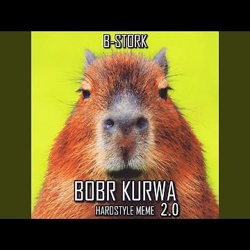 Bobr Kurwa Hardstyle Meme 2.0