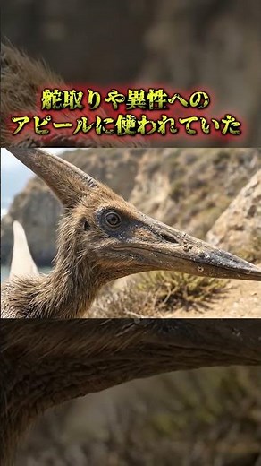 天空の死神「プテラノドン」 #dinosaur #jurassicworld #shorts