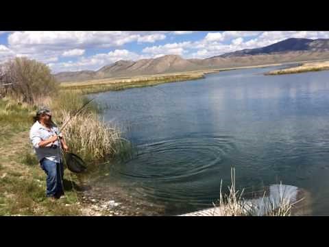Fly fishing The Ruby Marsh - 5/17