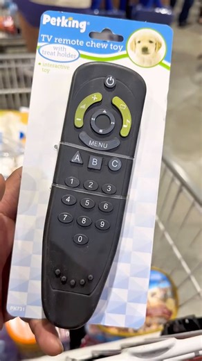 TV Remote Toy for Christmas 🎄🦴🐕 #dog #toys #americanbully