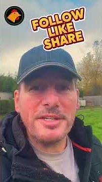 MORE LAND DOES NOT MEAN YOU HAVE MORE RIGHT TO LIVE ON IT.! #offgrid #smallholding #offgridliving