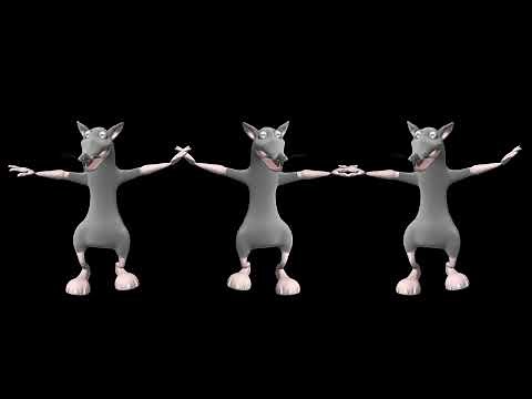 Mouse dance, rat meme, mouse dancing, rat funny video, dancing rat meme, mouse funny video