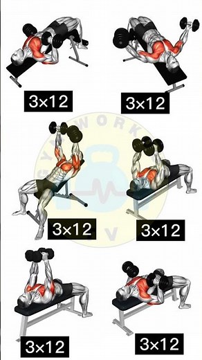 Sculpt Your Chest: Advanced Dumbbell Fly Variations