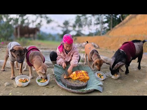 The Vietnamese woman cooks for her beloved children. - ha thi muon