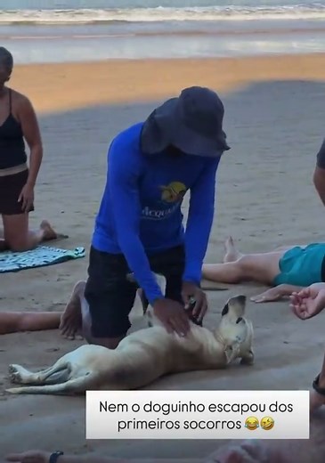 Aulas práticas de primeiros socorros com Capitão do BMES! E o doguinho pediu para patricar! Aula primordial para os nadadores! 🧑‍🚒🩵🌊🏊🏻‍♀️💥🚀 #primeirossocorros ##aph #trend #viral #lifeguard