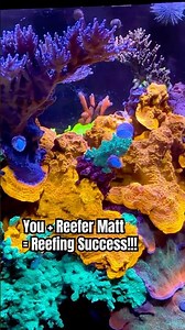 Reef Tank Success!