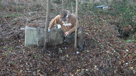 39K views · 467 reactions | A mouse trapped in my DP | Fur Life TV | Facebook