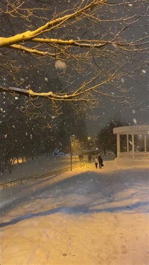 Snowfall Sound I Beautiful Winter Ambience I Snow Ambience