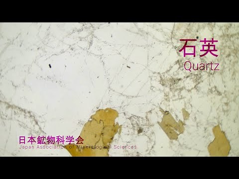 【教材用短編】石英【偏光顕微鏡】