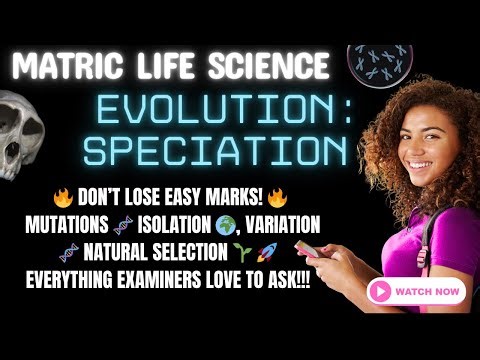 Life Science | Matric Exam Revision | Evolution - Speciation (Grade 12 CAPS)