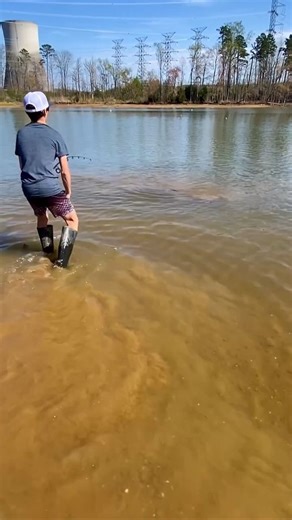 9.9K views · 464 reactions | Catfish caught on Zebco Bite Alert ❗ Show us what your you're reelin for a feature! #KeepItReelMondays @kswpfishing on Instagram | Zebco | Facebook