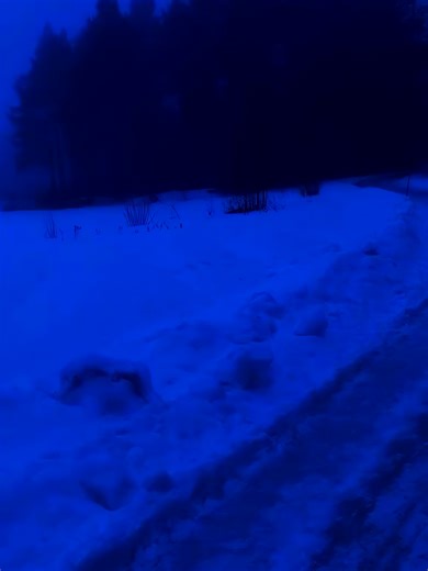 Experience the Dark Wintercore Aesthetic