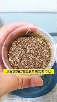 💐 Rose propagation tutorial in spring: Step-by-step instructions, success is no longer difficult!...