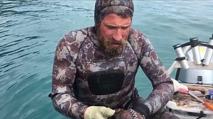 Kiwi guy shows you how to kill a big ‘ol octopus with only your teeth