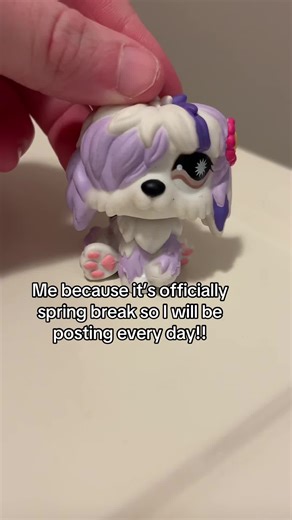 Daily Little Pet Shop Fun During Spring Break