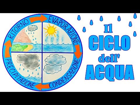 💧🔁 THE WATER CYCLE - 🎯 Interactive Circular Diagram (Science Lesson for Primary School)