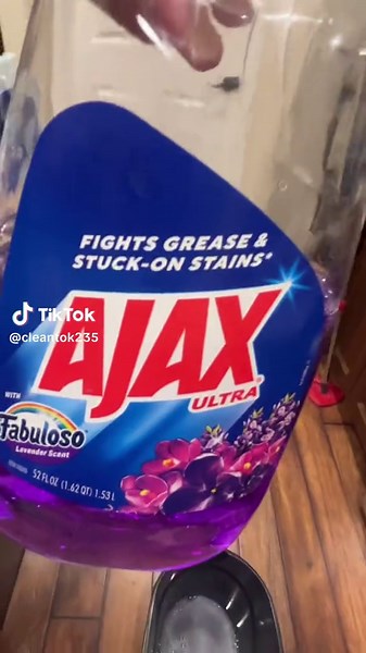 Essential Cleaning with a Wet Mop