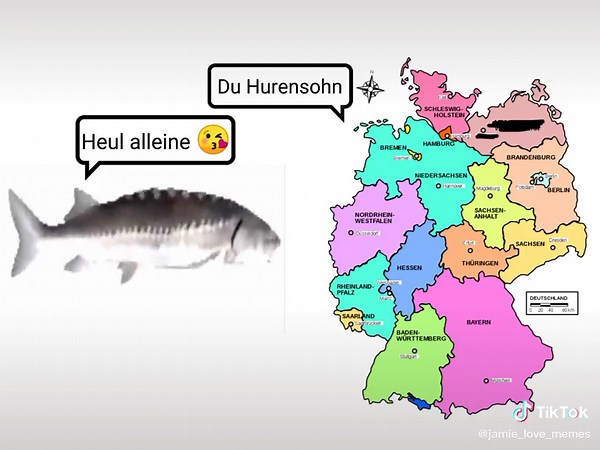 Hilarious German Fish Memes and Steuerbetrug in Cuba