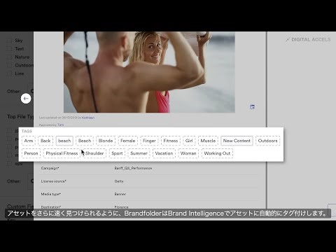 Brandfolderの概要