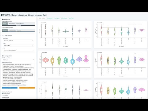 MIDMT: Master Interactive Dietary Mapping Tool