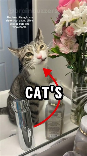 This Flower Can Kill Your Cat 🚨🐱 #shorts