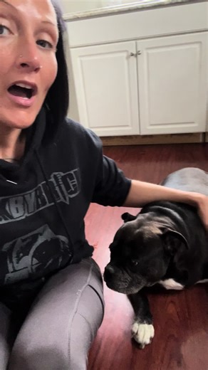 Dogs, cats, rats, turtle, and fish….we’re all a family. Nova is #queenbee though. Big sister.