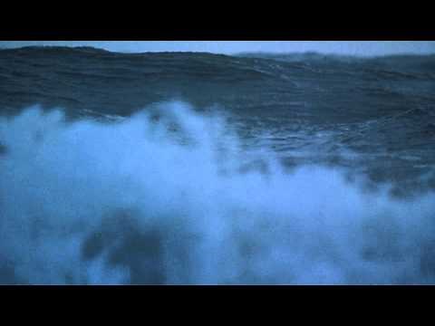 Opening Scene to A.I. Artificial Intelligence