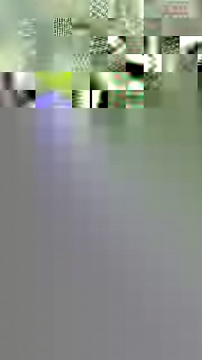 2.9M views · 30K reactions | Look gorgeous reaction gorilla husband doing best for both wife here.轢#Gorillmomotaro #gorillas #gorilla #wildlife #animals #monkey #nature #gorillaz #monkeys #wildlifephotography #Gorillmomotaro #gta #africa #chimpanzee #ape #primates #uganda #zoo #animal #silverback #Gorillmomotaro #pittstate #psu #mountaingorillas | Family gorilla photos | Facebook