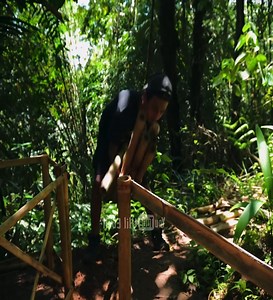 7K views · 173 reactions | Bushcraft Skills Building Warm Stone Survival Shelters, Heated Beds, and Cooking Wild-Caught Lizards #bushcraft #outdoors #camping #survival #bushcraftindonesia #solocamping | Wildcraft Way | Facebook