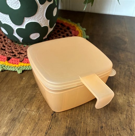 Vintage Tupperware Cheese Keeper- Forget Me Not Food Storage - Etsy