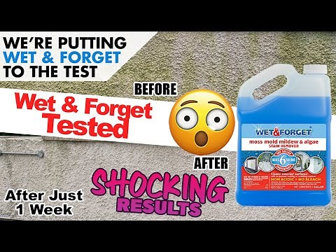 Wet & Forget Tested - Before & After - Real Results