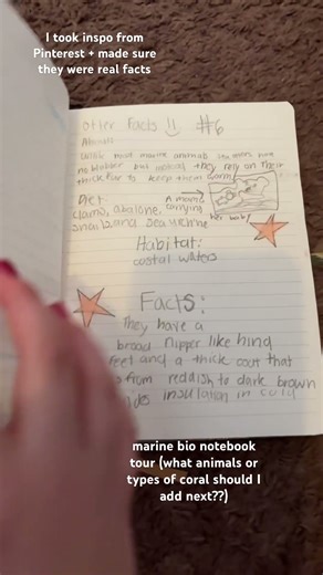 marine bio notebook!!! I love sea animals sm !!