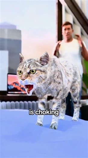 How To Save Your Cat From Choking 😳