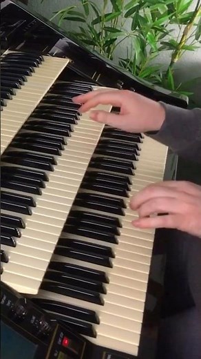 I Love Paris | Florian Hutter - Wersi Atlantis #shorts #organ #swing