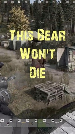 How I Survived the Ultimate Bear Ambush in DayZ! #shorts, #dayz