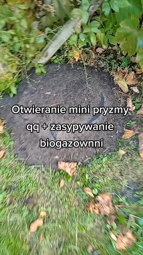 Composting Process: Hands-On Guide to Organic Waste