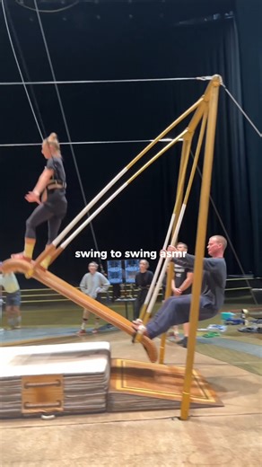 Drawn to Life on Instagram: "starting the year off with some Swing to Swing ASMR 🤸‍♂️ Come experience Drawn to Life at Disney Springs in Orlando, Florida: the perfect night out for families, friends, and dreamers of all ages! #drawntolife #cirquedusoleil #teeterboard #pov"