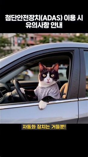 Keep Your Eyes on the Road, Not Your Phone! Essential Safety Tips for Using ADAS 🚘
