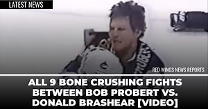 All 9 bone crushing fights between Bob Probert vs. Donald Brashear [Video]