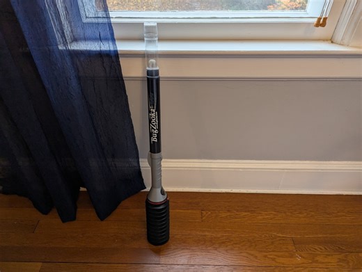 My Secret Weapon for Stink Bug Season Uses Zero Chemicals